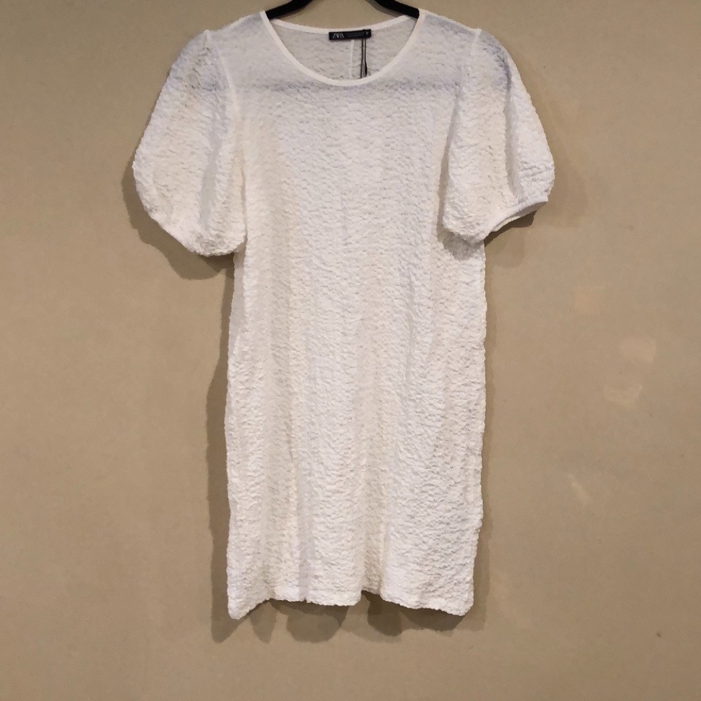 Zara Dress with Pinched Puffy Sleeves!